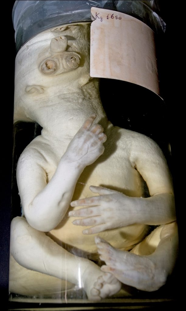 Oggetto 1.jpg